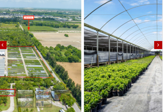 Commercial/Sale/South Florida Nursery